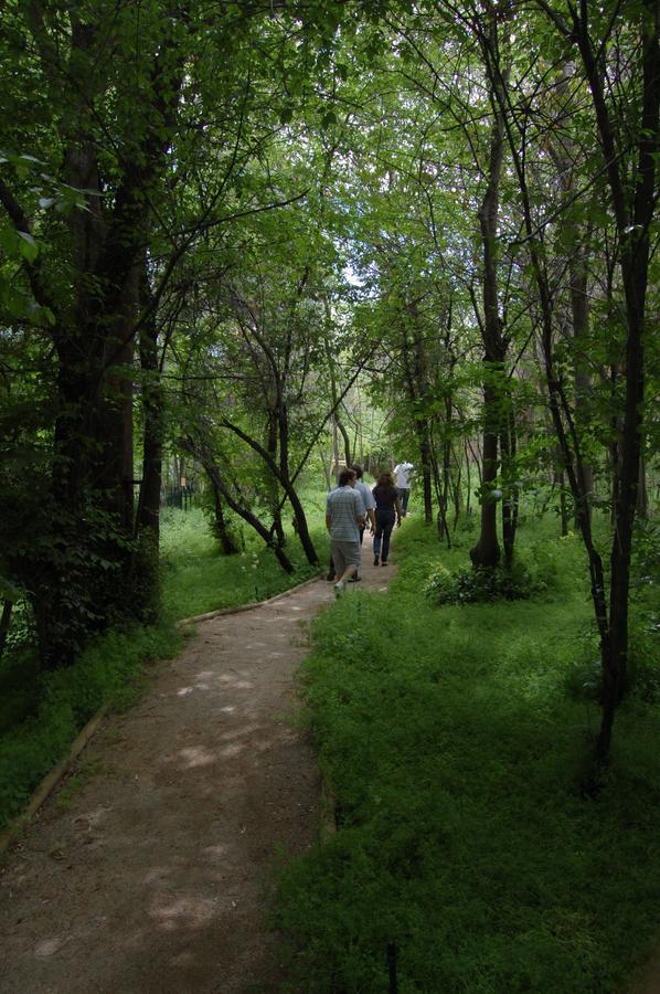 Hosteria Millahue San José de Maipo Zewnętrze zdjęcie